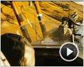 Black Gold Videoclip DF