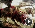 Zorn der Titanen - Kampf der Titanen 2 Reportage OV