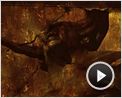 Zorn der Titanen - Kampf der Titanen 2 Reportage OV