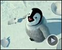 Bilder : Happy Feet Trailer OV