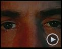 Bilder : Taxi Driver Trailer OV