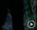 Bilder : Tigerland Trailer DF