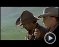 Bilder : Open Range Trailer OV