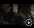 Bilder : BloodRayne 2 Trailer DF