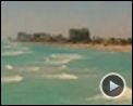 Bilder : Marley & ich Trailer (2) DF