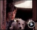 Bilder : Das Hundehotel Trailer DF
