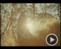 Bilder : Wo die wilden Kerle wohnen Trailer OV