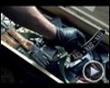 Bilder : Hell Ride Trailer DF