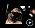 Bilder : Men in Black II Teaser DF