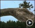 Bilder : Dinosaurier Live 3D - Fossilien zum Leben erweckt Trailer DF