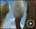 Bild zum Film : Ice Age 3 - Die Dinosaurier sind los Videoclip (9) DF