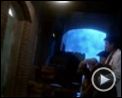 Bilder : Moonwalker Trailer DF