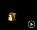 Bilder : Where In The World Is Osama Bin Laden? Trailer DF