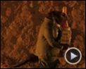 Bilder : Der fantastische Mr. Fox Trailer OV