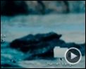 Bild zum Film : Verblendung Videoclip (12) DF