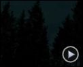 Bilder : Tannöd Trailer DF