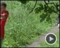 Bild zum Film : Looking for Eric Videoclip (3) DF