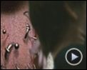 Bild zum Film : Gamer Videoclip (5) DF