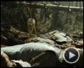 Bilder : Robin Hood Trailer (2) DF