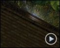 Bilder : Madagascar 2 Trailer (2) DF