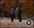 Bilder : Harry und Sally Trailer OV