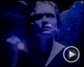 Bilder : Pitch Black Trailer DF