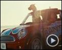 Bild zum Film : Marmaduke Trailer