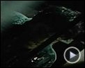 Bilder : Tanz der Teufel Trailer DF