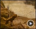 Bilder : Alpha und Omega Trailer DF