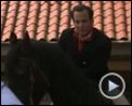 Bilder : Running Wilde Trailer OV