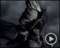 Bilder : Game of Thrones – Das Lied von Eis und Feuer Teaser OV