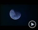 Bilder : American Werewolf Trailer OV
