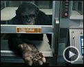 Bilder : Planet der Affen: Prevolution Trailer DF
