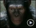 Bilder : Planet der Affen: Prevolution Trailer (2) OV