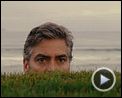 Bild zum Film : The Descendants - Familie und andere Angelegenheiten Trailer DF