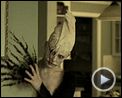 Bilder : Krieger des Lichts Trailer DF