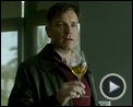 Bilder : Haywire Trailer DF
