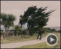 Bilder : Archipelago Trailer OV