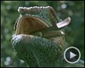 Bilder : Unser Leben Trailer DF