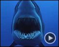 Bilder : Deep Blue Sea Trailer OV
