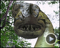 Bilder : Piranhaconda Teaser OV