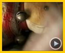Bild zum Film : Ein Geheimnis Trailer DF