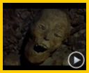 Bild zum Film : Nosferatu - Das Phantom der Nacht Trailer DF