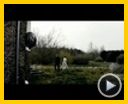 Bild zum Film : Deliver Us From Evil Trailer OV
