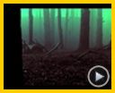 Bild zum Film : The Book of Eli Trailer (2) DF