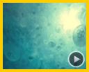 Bild zum Film : Unsere Ozeane Trailer DF