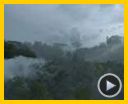 Bild zum Film : Avatar - Aufbruch nach Pandora Reportage DF