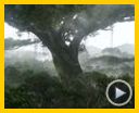 Bild zum Film : Avatar - Aufbruch nach Pandora Reportage DF