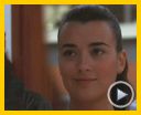 Bilder : Navy CIS - staffel 5 Teaser DF