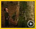 Bild zum Film : Bal - Honig Trailer OV